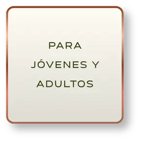 Vista 4 de los materiales del curso